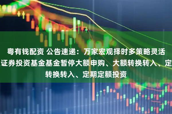 粤有钱配资 公告速递：万家宏观择时多策略灵活配置混合型证券投资基金基金暂停大额申购、大额转换转入、定期定额投资