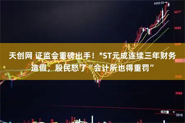 天创网 证监会重磅出手！*ST元成连续三年财务造假，股民怒了“会计所也得重罚”