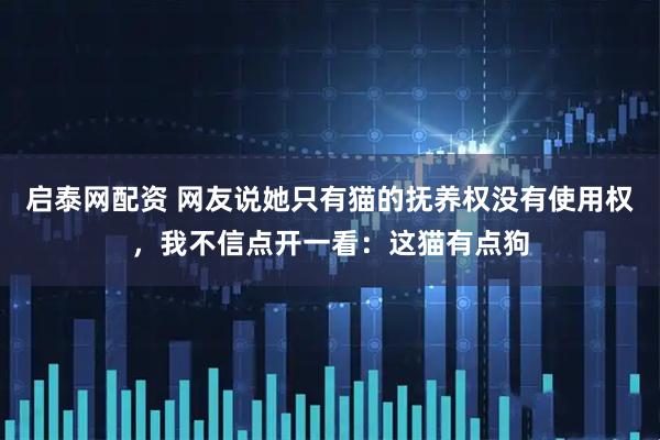 启泰网配资 网友说她只有猫的抚养权没有使用权，我不信点开一看：这猫有点狗