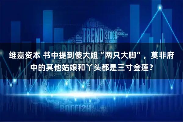 维嘉资本 书中提到傻大姐“两只大脚”,莫非府中的其他姑娘和丫头都是三寸金莲?